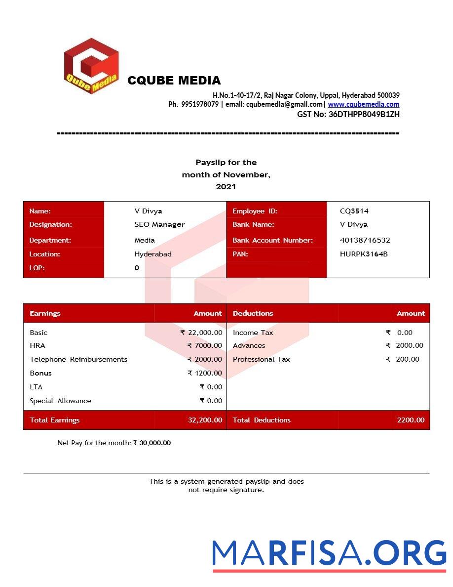 Realistic Cqube Media payslip download for verification